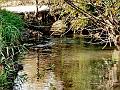 adda (122)